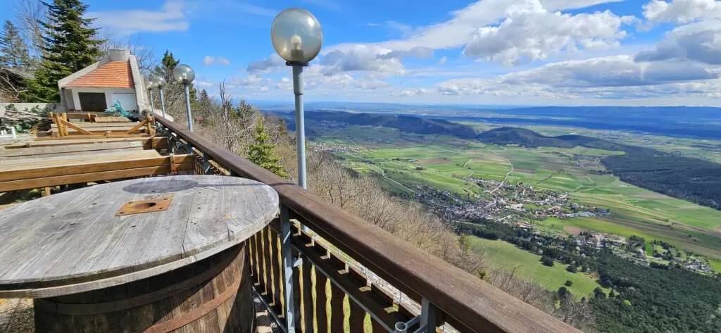 Gewerbeimmobilie mieten in Wiener Neustadt Land – 400 m², € 6 – Bild 5 von 28