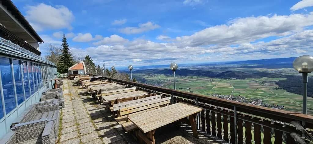 Gewerbeimmobilie mieten in Wiener Neustadt Land – 400 m², € 6 – Bild 20 von 28