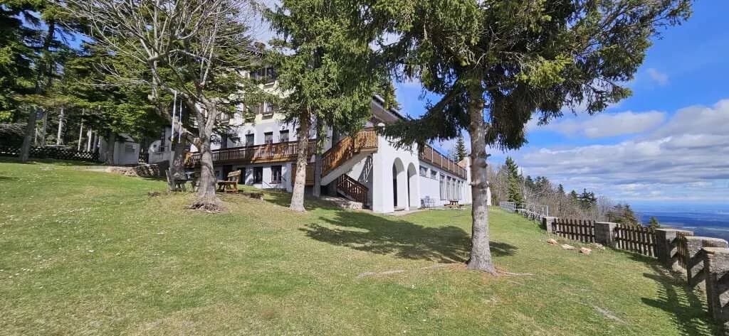 Gewerbeimmobilie mieten in Wiener Neustadt Land – 400 m², € 6 – Bild 21 von 28