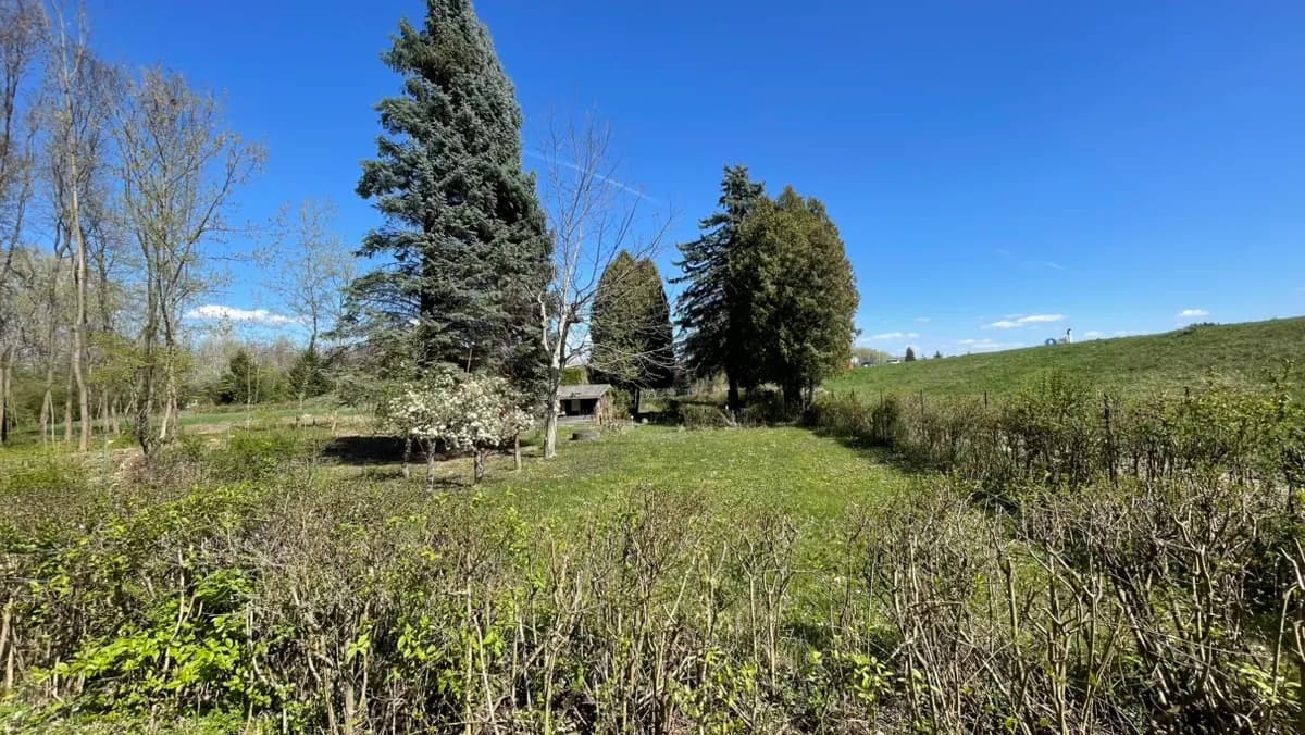 Immobilie kaufen in Krems Land – 950 m², € 25.000 – Bild 6 von 6