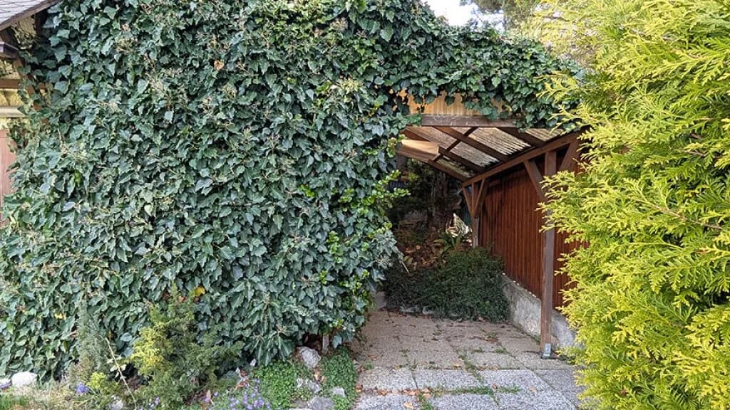 3-Zimmer-Haus kaufen in Sankt Pölten Land – 68 m², € 329.000 – Bild 34 von 54