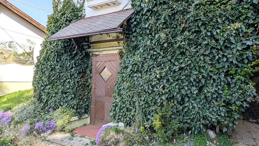 3-Zimmer-Haus kaufen in Sankt Pölten Land – 68 m², € 329.000 – Bild 51 von 54