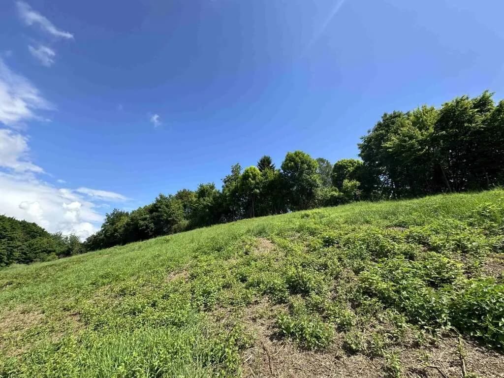 Grundstück kaufen in Deutschlandsberg – 1 847 m², € 199.000 – Bild 10 von 13