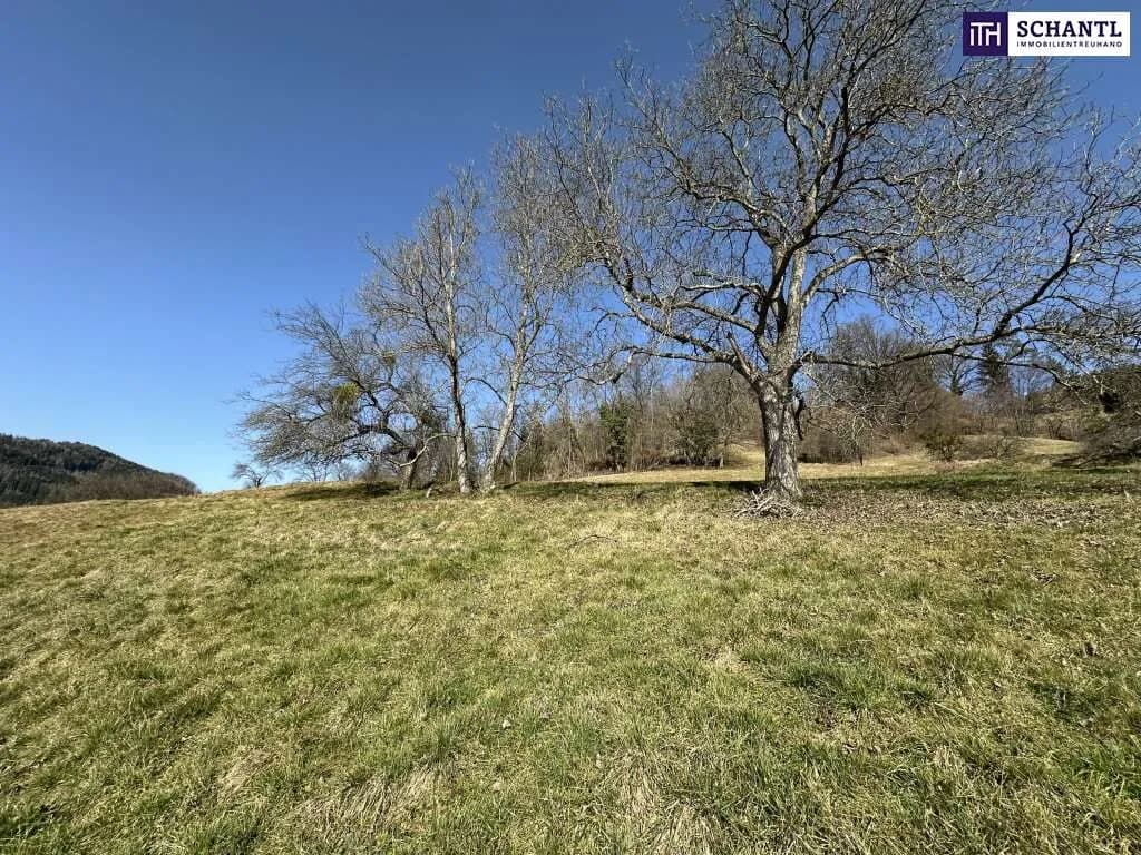 Grundstück kaufen in Graz-Umgebung – 500 m², € 68.000