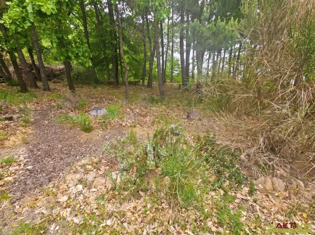2-Zimmer-Haus kaufen in Güssing – 96 m², € 832.000 – Bild 28 von 28
