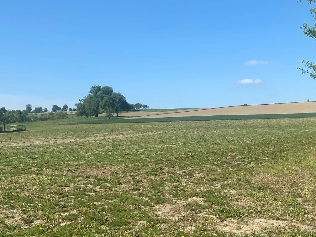 Grundstück kaufen in Wels-Land – 655 m², € 193.225 – Bild 3 von 6