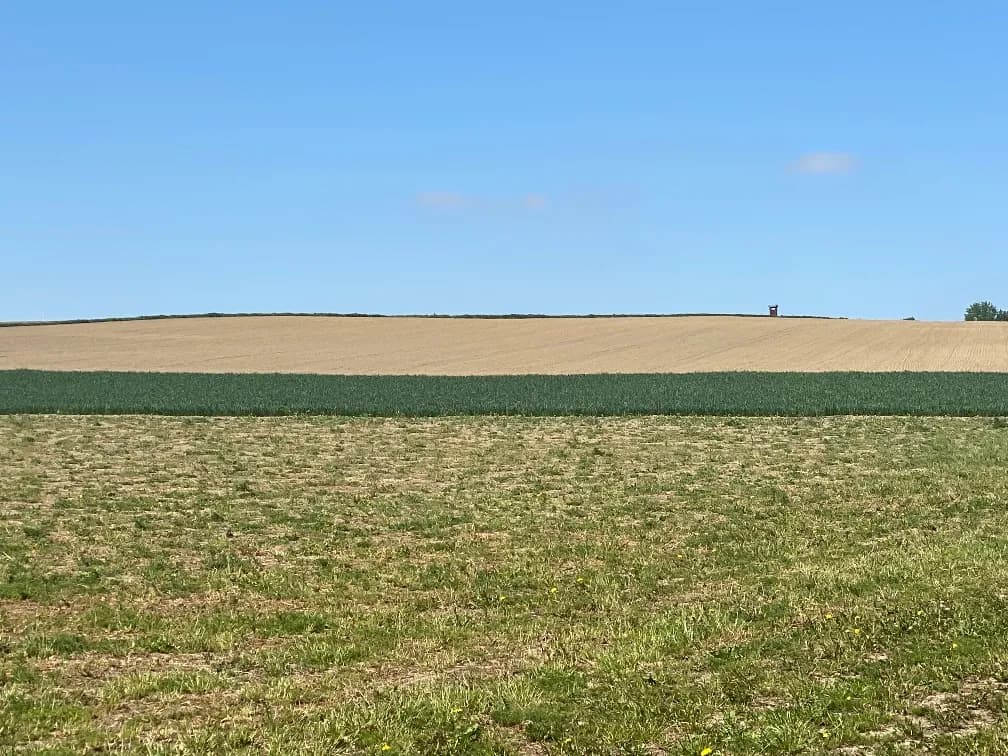 Grundstück kaufen in Wels-Land – 655 m², € 193.225 – Bild 4 von 6