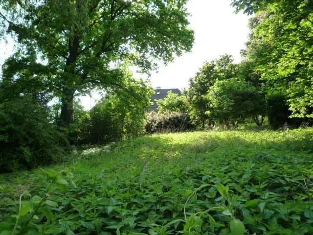 Grundstück kaufen in Schärding – 1 166 m², € 70.000 – Bild 3 von 11