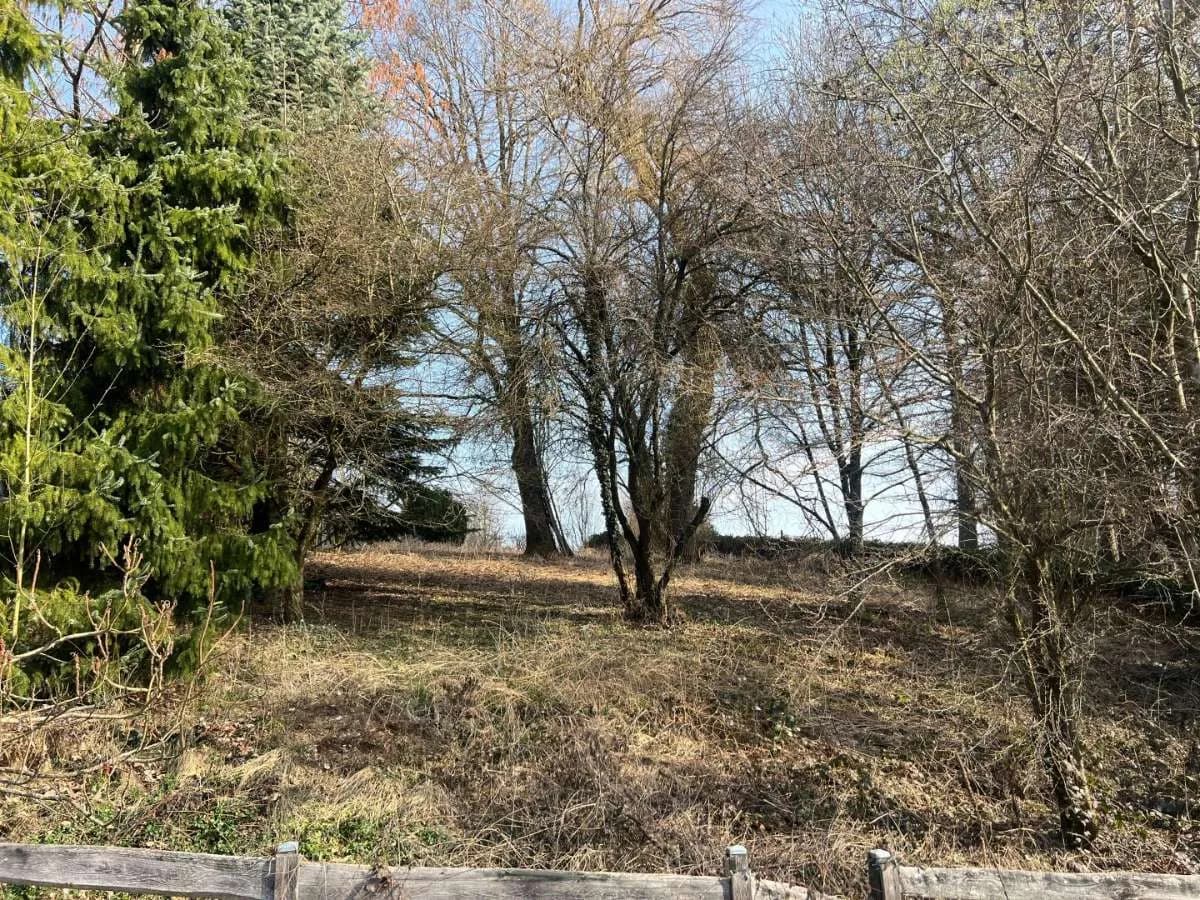 Grundstück kaufen in Schärding – 1 166 m², € 70.000 – Bild 5 von 11