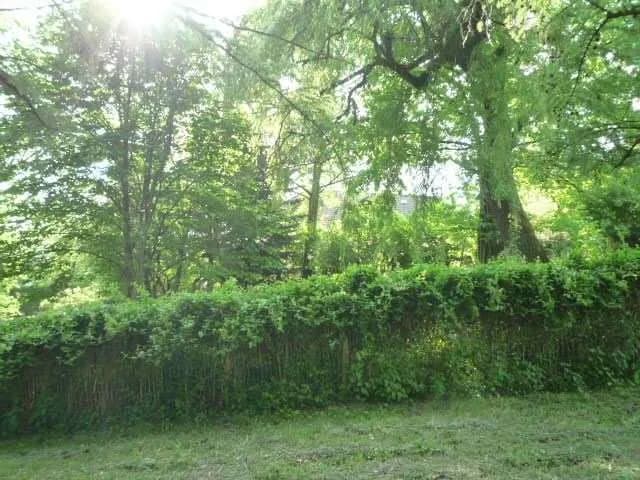 Grundstück kaufen in Schärding – 1 166 m², € 70.000 – Bild 9 von 11