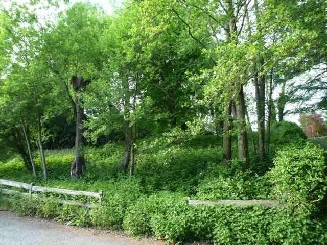 Grundstück kaufen in Schärding – 1 166 m², € 70.000 – Bild 10 von 11