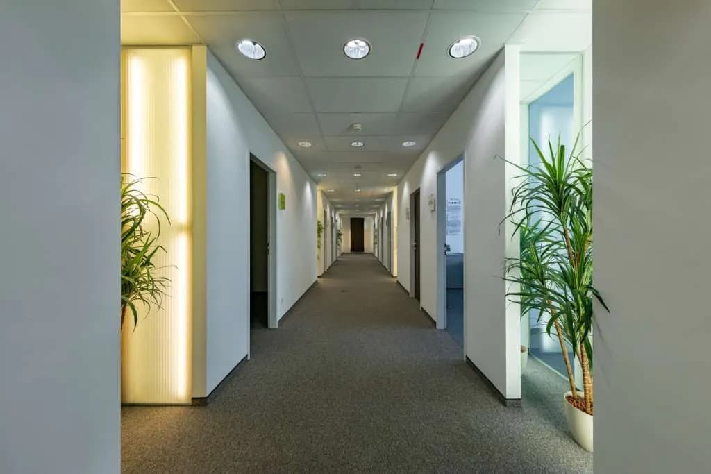 Gewerbeimmobilie mieten in Mödling – 237 m², € 12 – Bild 6 von 11