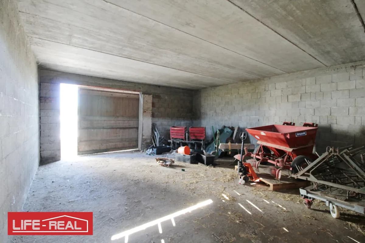 Immobilie mieten in Linz Land – 1 000 m², € 1.650 – Bild 7 von 20