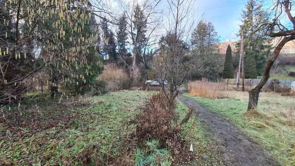 Gewerbeimmobilie kaufen in Graz – 777 m², € 790.000 – Bild 3 von 6