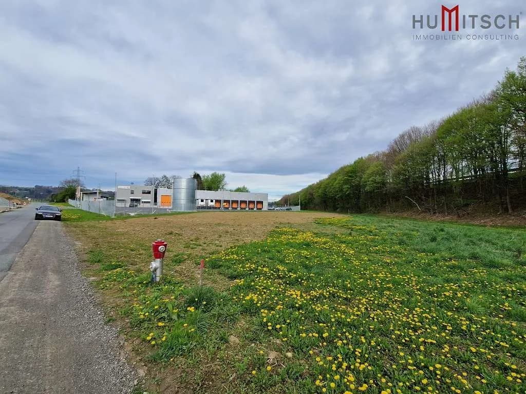 Immobilie kaufen in Leibnitz – 10 000 m² – Bild 6 von 6