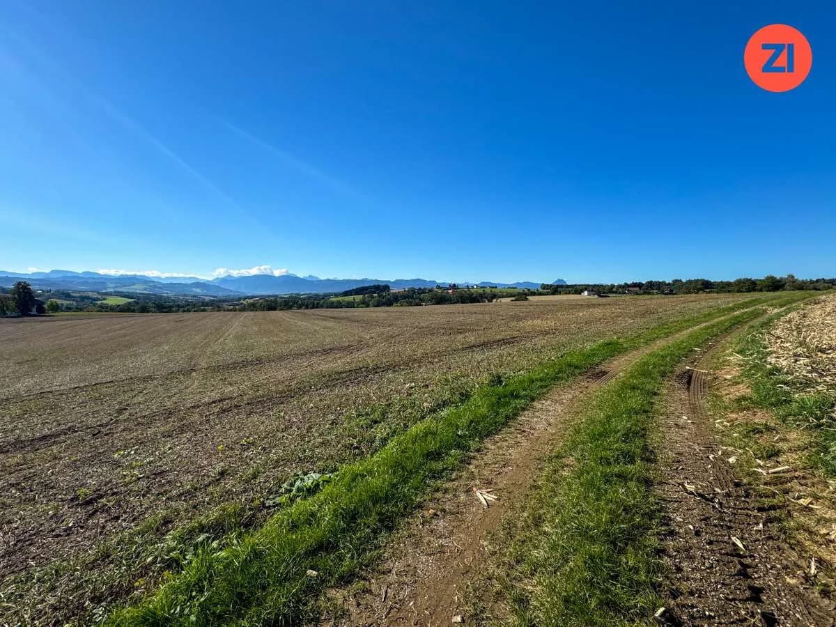 Immobilie kaufen in Kirchdorf an der Krems – 53 291 m²