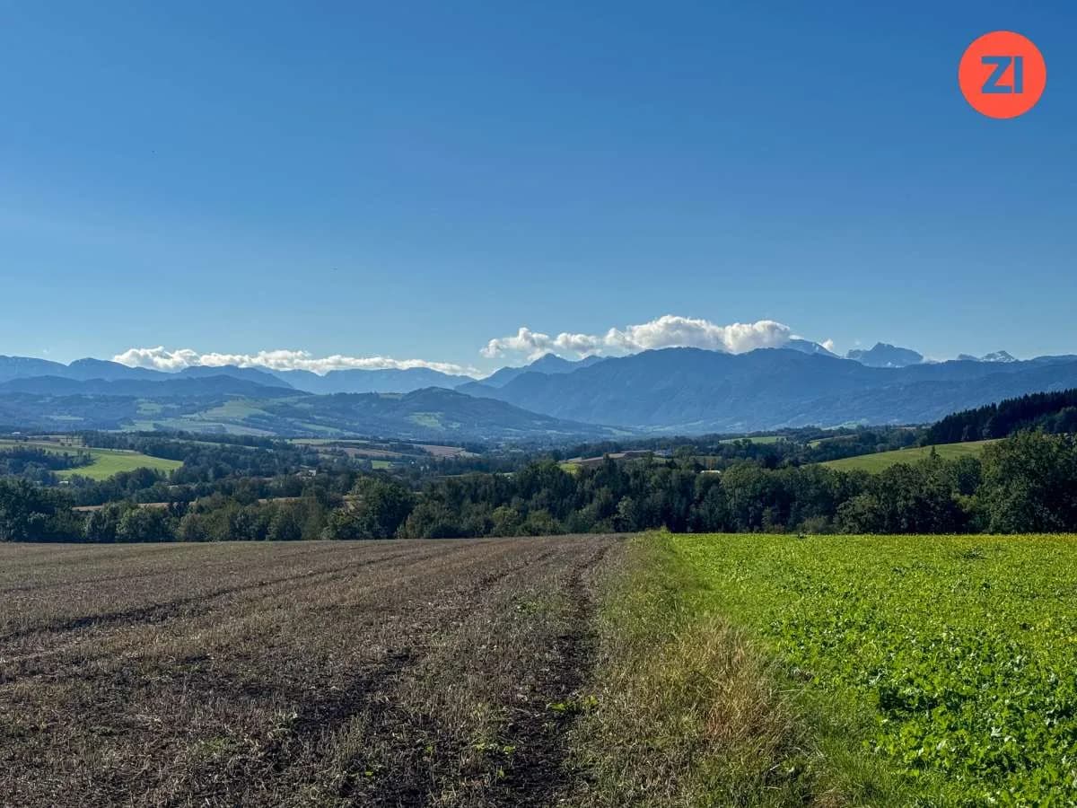 Immobilie kaufen in Kirchdorf an der Krems – 53 291 m² – Bild 2 von 8