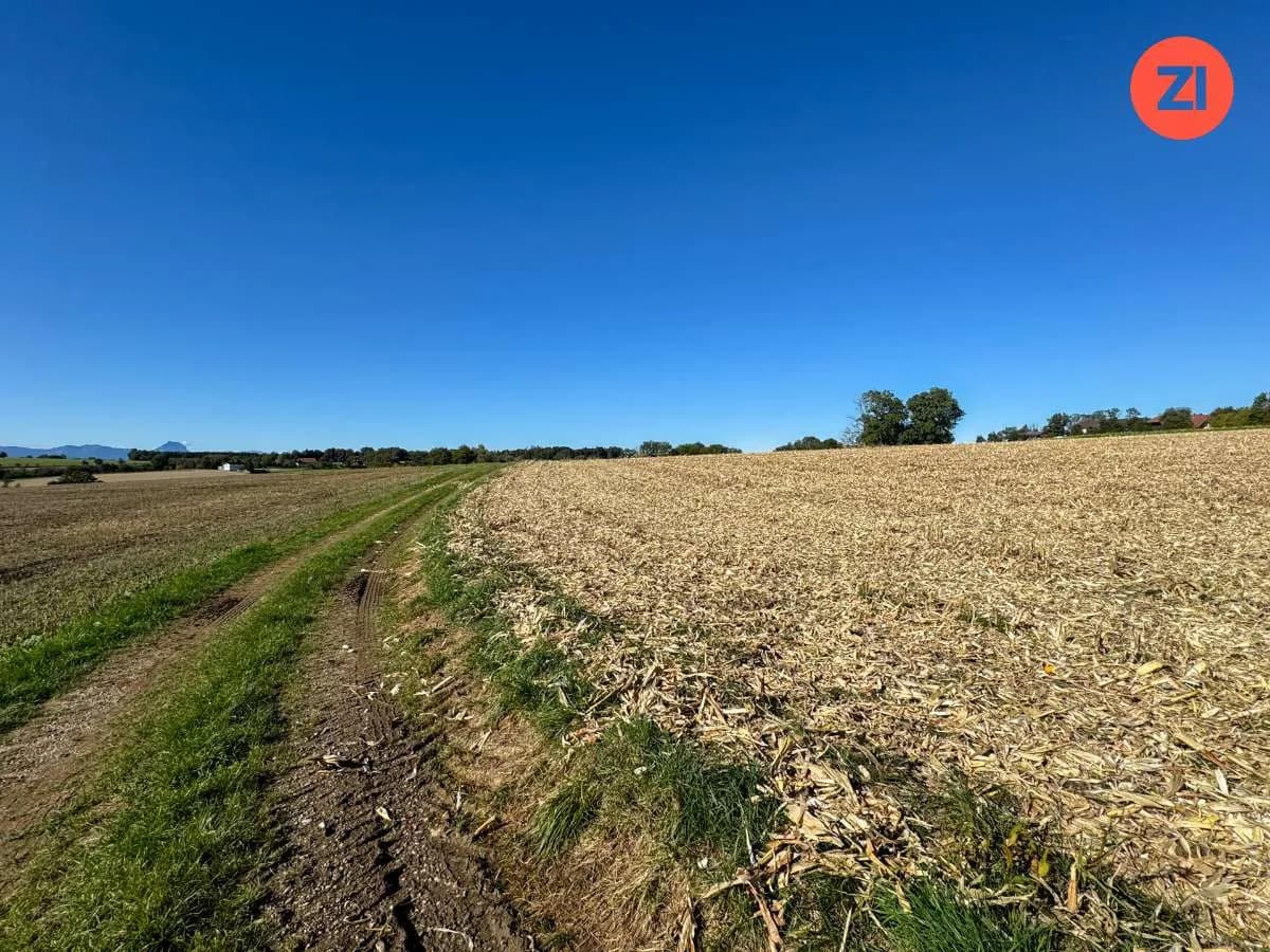 Immobilie kaufen in Kirchdorf an der Krems – 53 291 m² – Bild 3 von 8