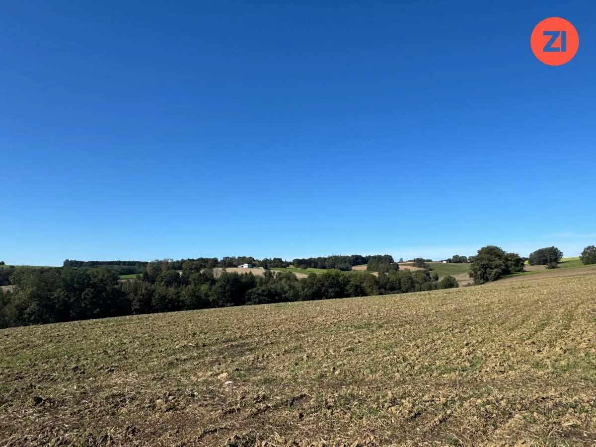 Immobilie kaufen in Kirchdorf an der Krems – 53 291 m² – Bild 6 von 8