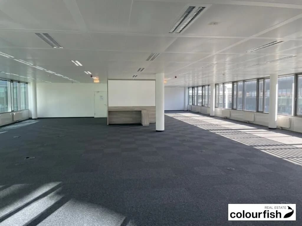 Gewerbeimmobilie mieten in Wien – 1 250 m², € 13 – Bild 2 von 9