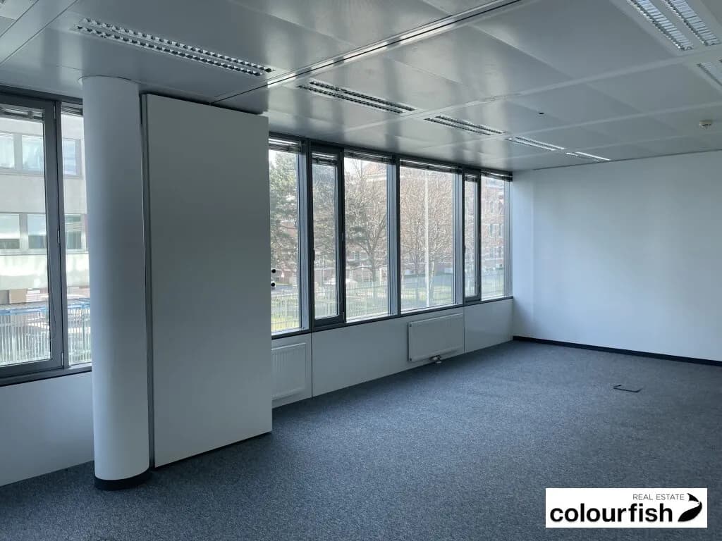 Gewerbeimmobilie mieten in Wien – 1 250 m², € 13 – Bild 3 von 9
