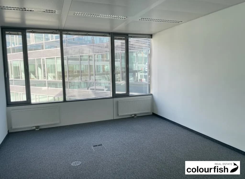 Gewerbeimmobilie mieten in Wien – 1 250 m², € 13 – Bild 5 von 9