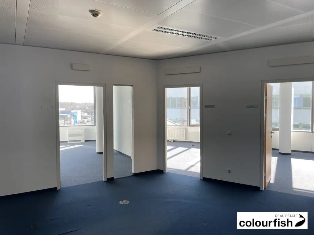 Gewerbeimmobilie mieten in Wien – 1 250 m², € 13 – Bild 7 von 9
