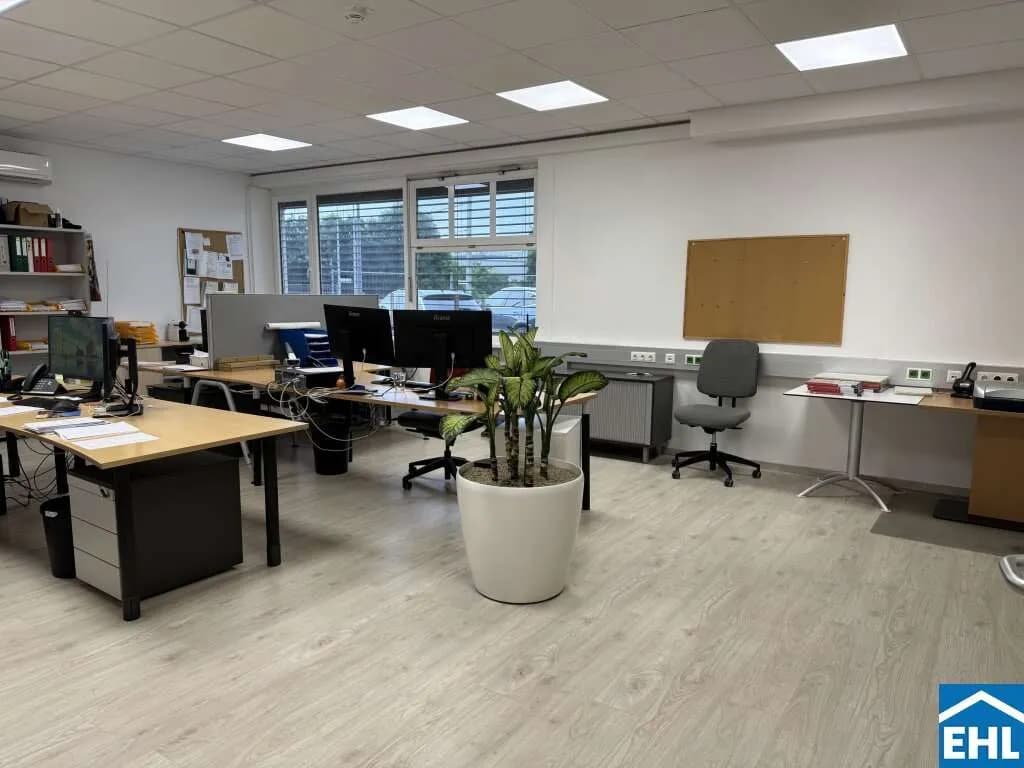 Gewerbeimmobilie kaufen in Wiener Neustadt – 985 m², € 2.100.000 – Bild 7 von 9
