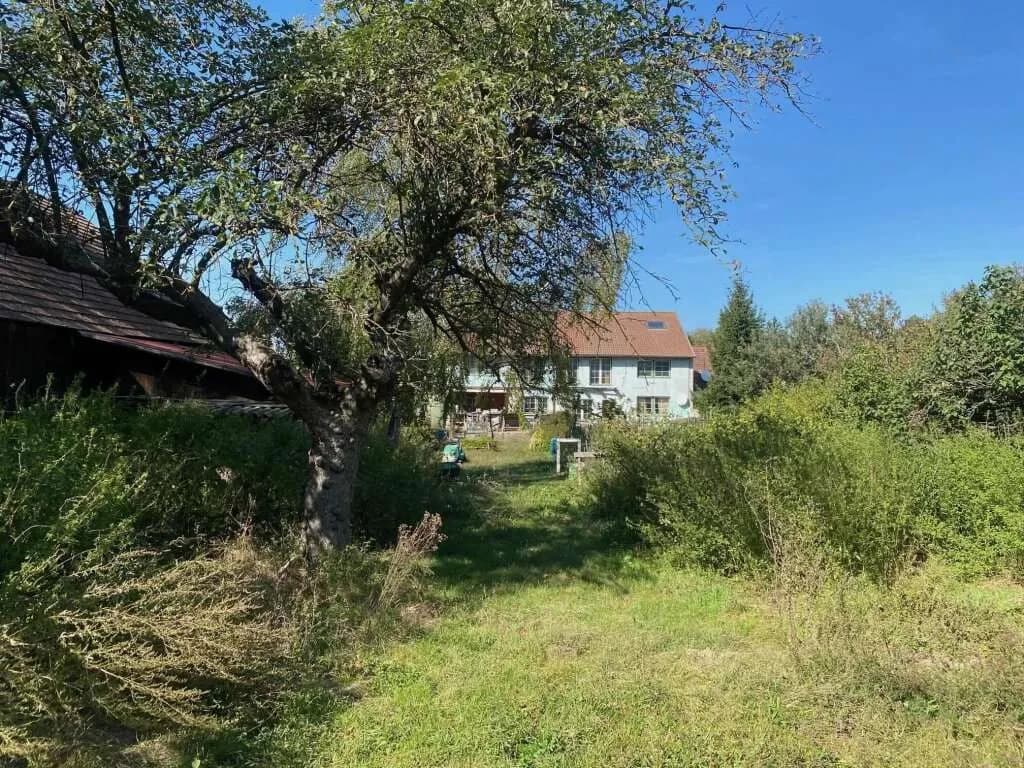 Gewerbeimmobilie kaufen in Mistelbach – 520 m², € 650.000 – Bild 2 von 16