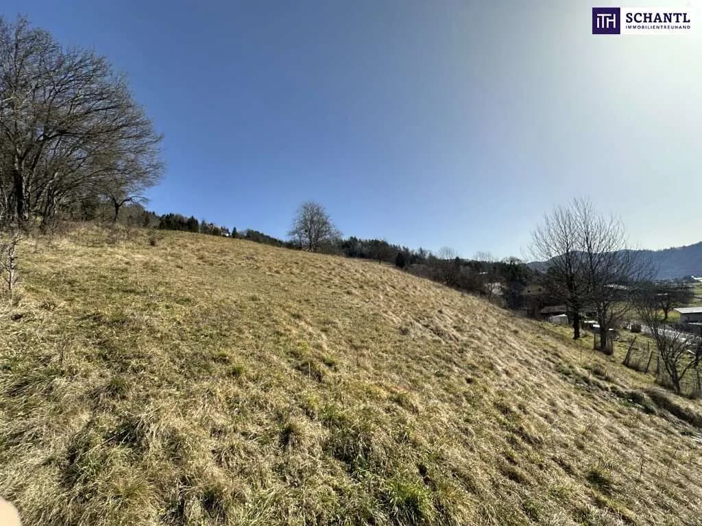Grundstück kaufen in Graz-Umgebung – 3 707 m², € 370.000 – Bild 12 von 21