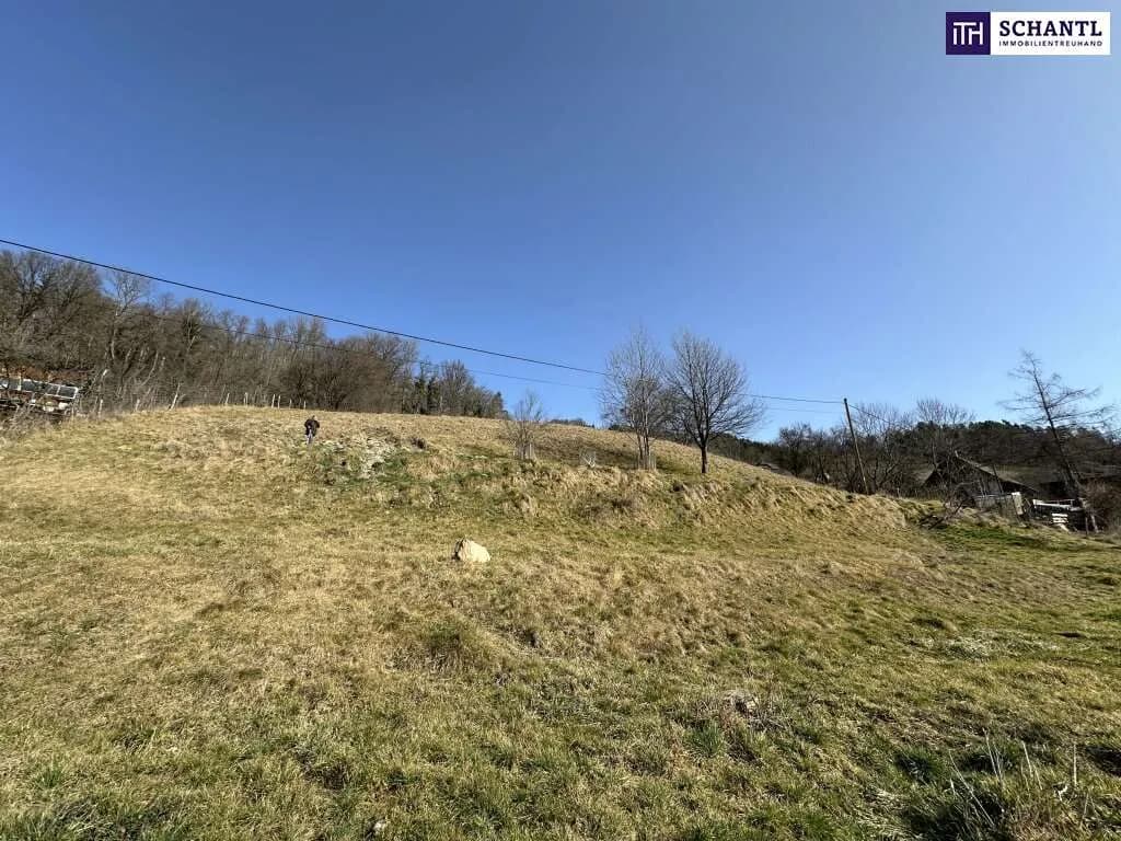 Grundstück kaufen in Graz-Umgebung – 3 707 m², € 370.000 – Bild 16 von 21