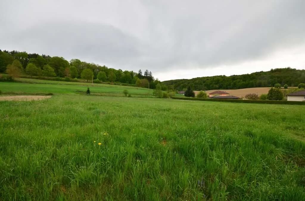 Grundstück kaufen in Güssing – 5 861 m², € 187.000 – Bild 3 von 8