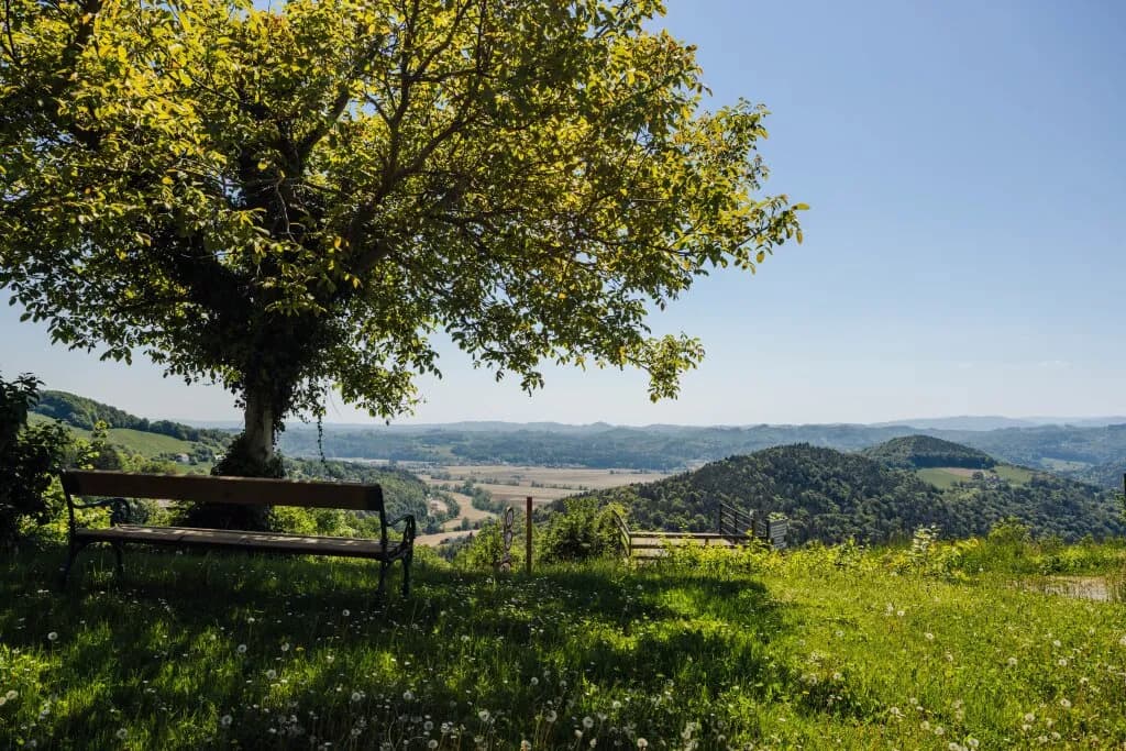 Grundstück kaufen in Leibnitz – 1 867 m², € 179.000 – Bild 4 von 21