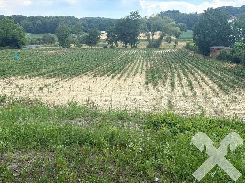 Grundstück kaufen in Südoststeiermark – 3 383 m², € 169.000