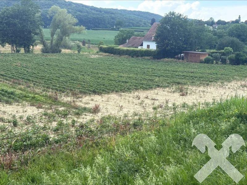 Grundstück kaufen in Südoststeiermark – 3 383 m², € 169.000 – Bild 2 von 2