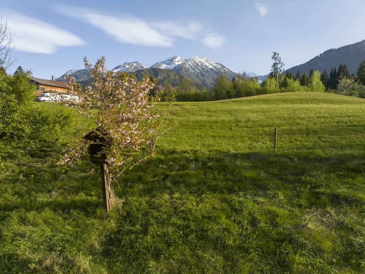 Grundstück kaufen in Kitzbühel – 812 m², € 810.000 – Bild 3 von 5