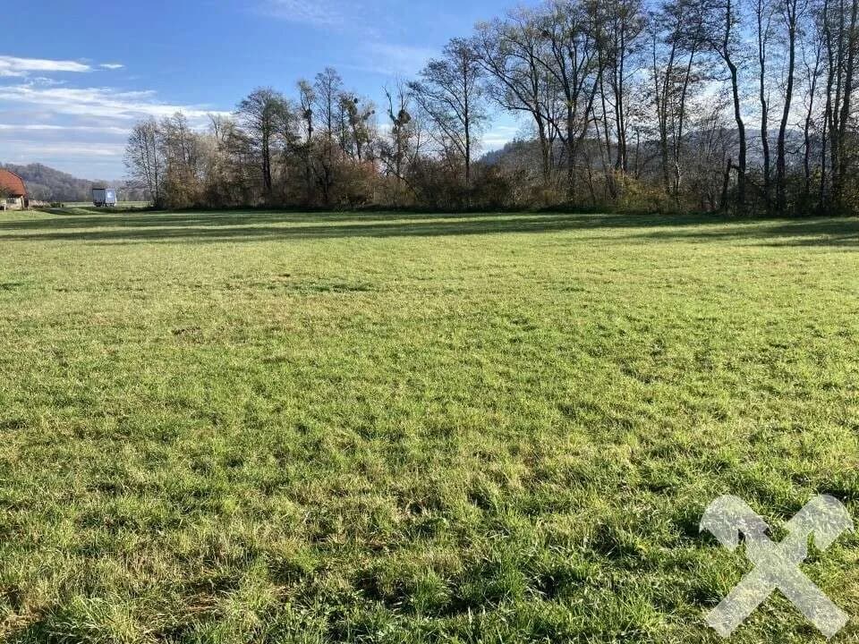 Immobilie kaufen in Südoststeiermark – 6 200 m² – Bild 1 von 4