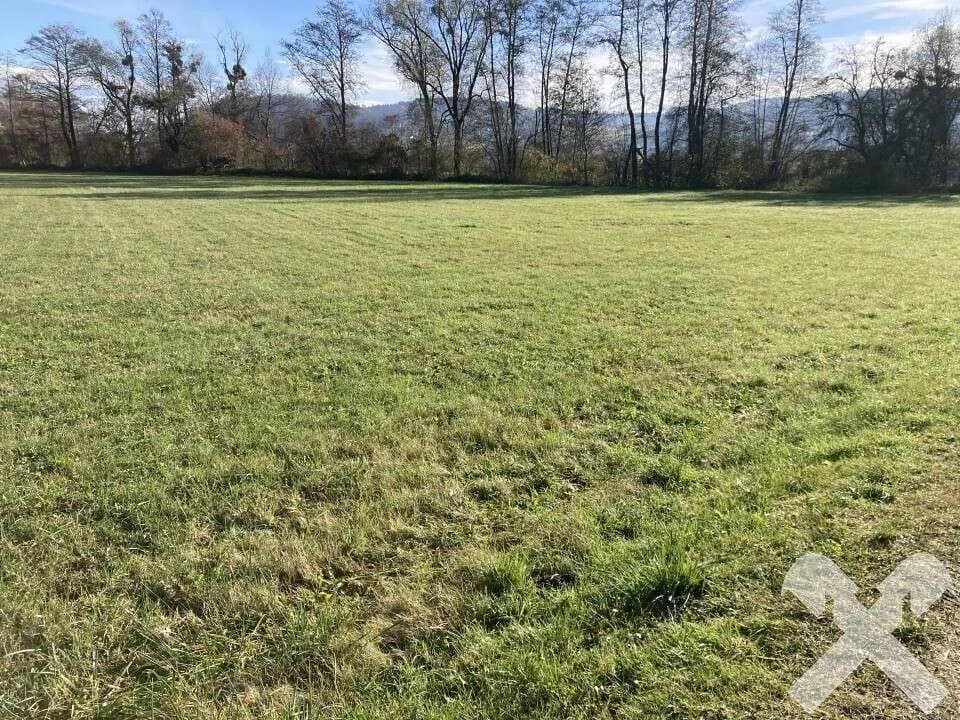Immobilie kaufen in Südoststeiermark – 6 200 m² – Bild 4 von 4