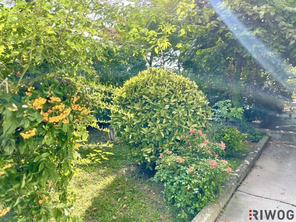 3-Zimmer-Wohnung kaufen in Wien – 67,83 m², € 240.000 – Bild 9 von 23