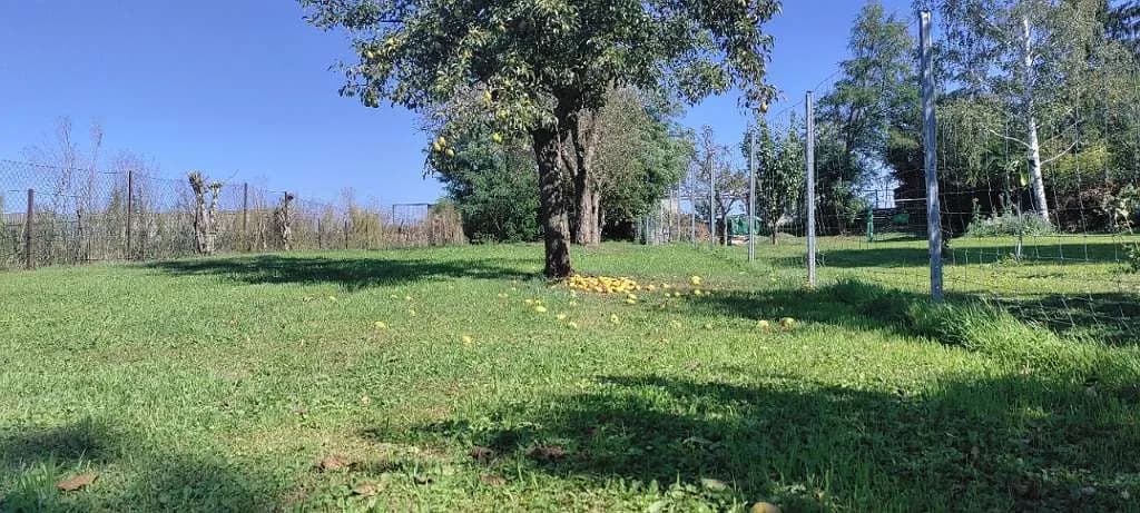 Immobilie kaufen in Oberpullendorf – 120 m², € 88.000 – Bild 4 von 11