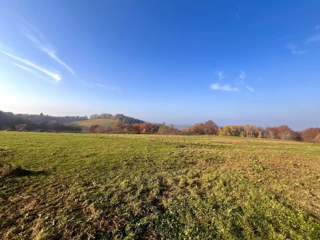 Immobilie kaufen in Leibnitz – 23 696 m²