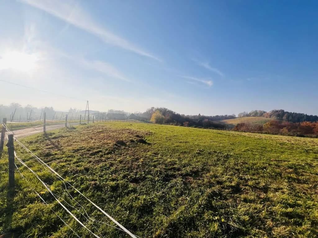 Immobilie kaufen in Leibnitz – 23 696 m² – Bild 2 von 4