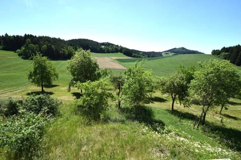 5-Zimmer-Gewerbeimmobilie kaufen in Freistadt – 580 m², € 849.000 – Bild 3 von 5