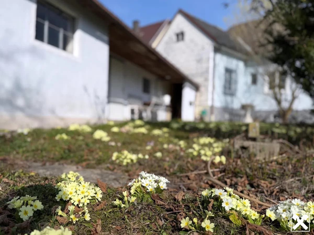 6-Zimmer-Haus kaufen in Melk – 186 m², € 229.000 – Bild 34 von 46