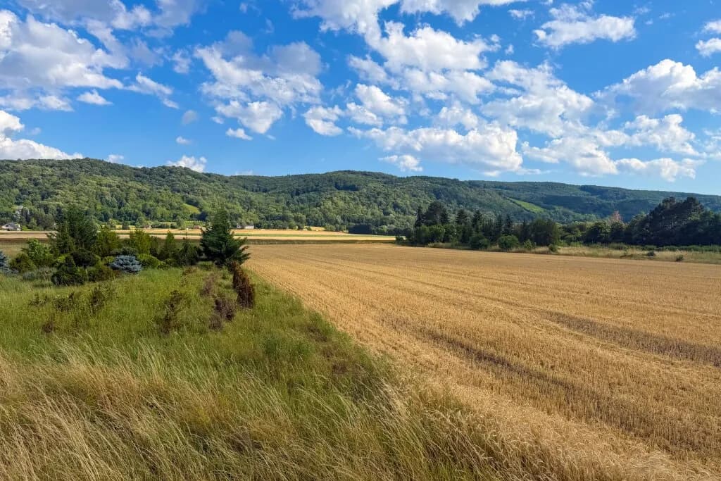 Immobilie kaufen in Tulln – 8 574 m², € 990.000 – Bild 5 von 8