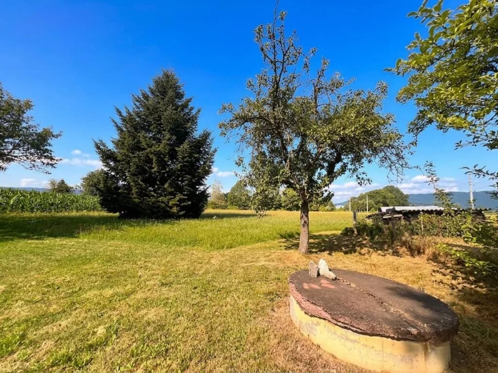 Immobilie kaufen in Murtal – 3 990 m², € 90.000 – Bild 8 von 11