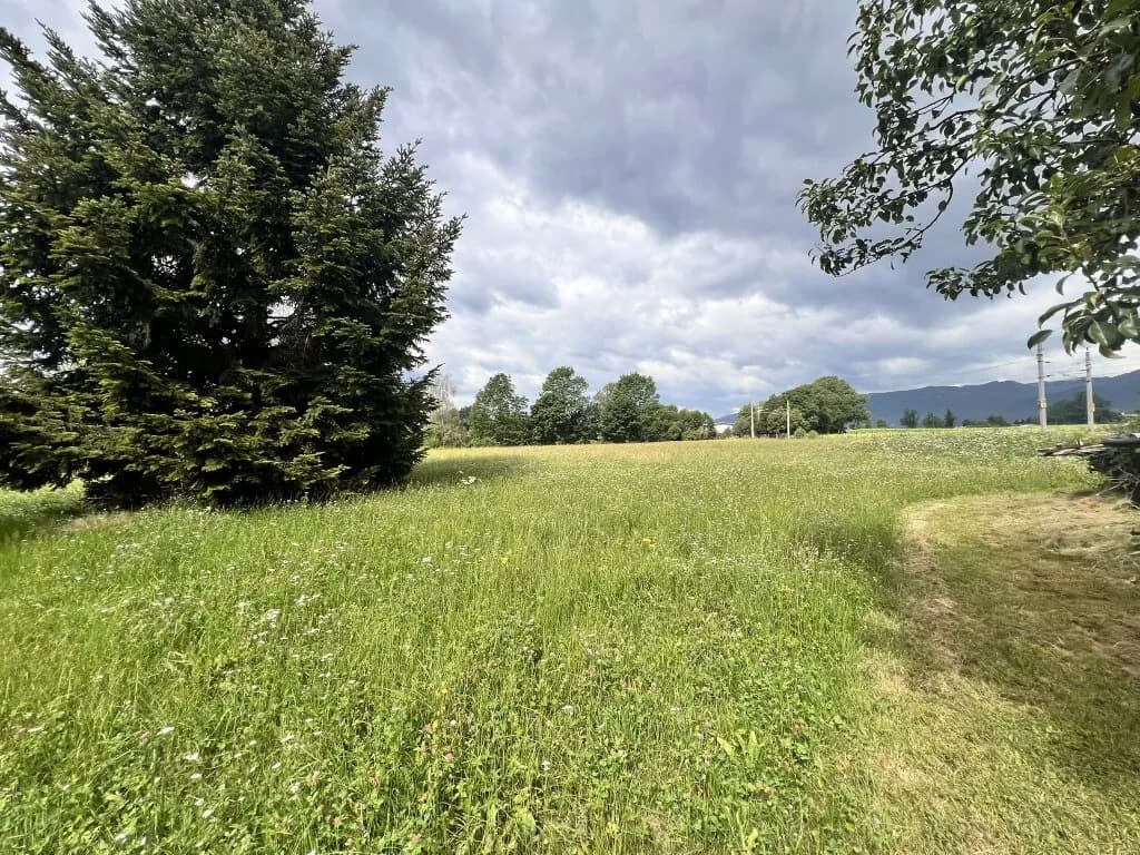 Immobilie kaufen in Murtal – 3 990 m², € 90.000 – Bild 11 von 11