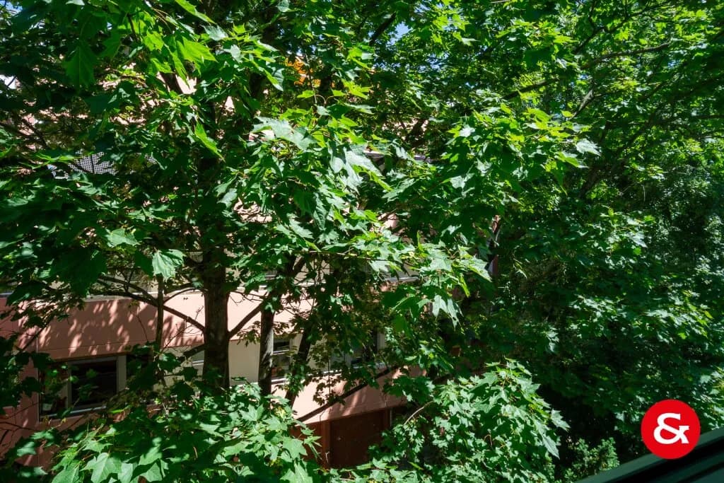 3-Zimmer-Wohnung mieten in Wien – 84 m², € 1.587 – Bild 17 von 18