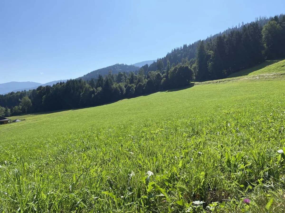 Grundstück kaufen in Liezen – 768 m², € 229.999 – Bild 3 von 8