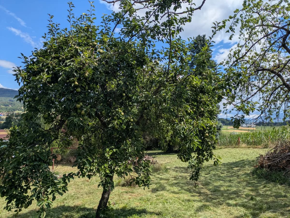 Grundstück kaufen in Weiz – 1 063 m², € 5.315 – Bild 5 von 9